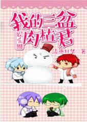 �ҵ�������ֲ��