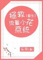 ��������С��ϵͳ[����]