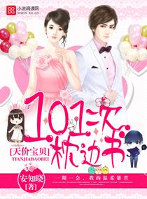 ��۱�����101��������