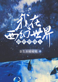 ����ϵ�ɻ���Ǻ���