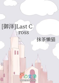 [��ʯ����ͬ��] Last Cross