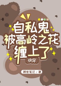 ��˽��������֮��������[�촩]