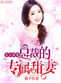 ���ٵ�ר������