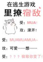 ��������Ϸ�����޵�