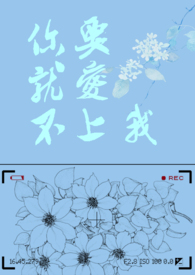 ��Ͳ�Ҫ������