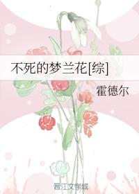 �ҵĹ�������