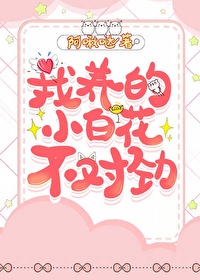 ������С�׻����Ծ�