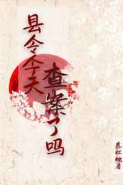 �������鰸����