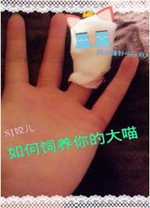 �����������Ĵ���