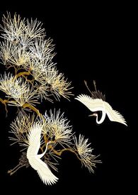 ��������¼