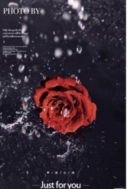 õ�廨�����ֲᣨ������� ����ͬ�ˣ�