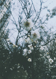 �����õ�С��Ů