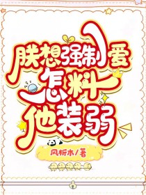 ����ǿ��������װ��